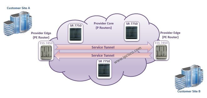 Nokia Service Routers,Service Logic, P Routers, PE Routers