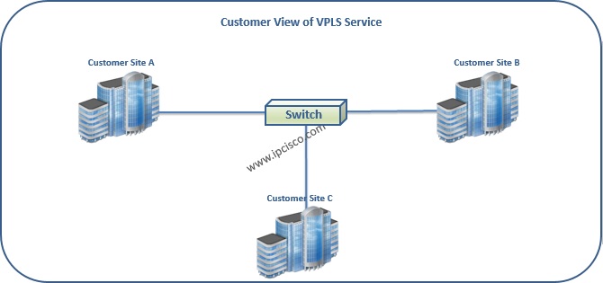 Alcatel-Lucent, Customer View of VPLS