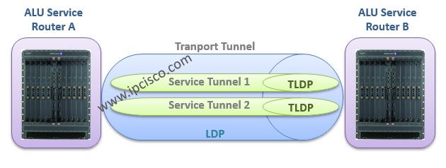 transport tunnel and service tunnel, ldp and tldp