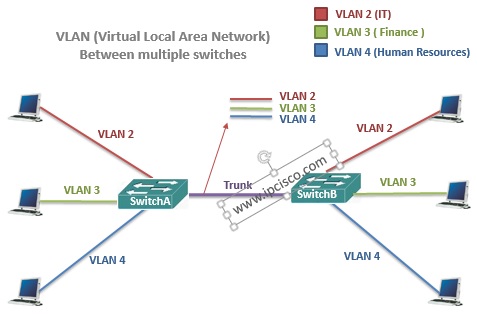 vlan(virtual local area network)