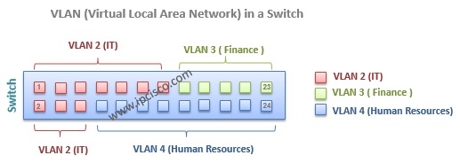 vlan(virtual local area network) port assignment