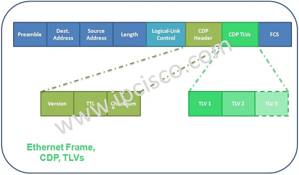 Cisco Discovery Protocol Header and TLVs, CDP TLVs Cisco Discovery Protocol Header and TLVs, CDP TLVs