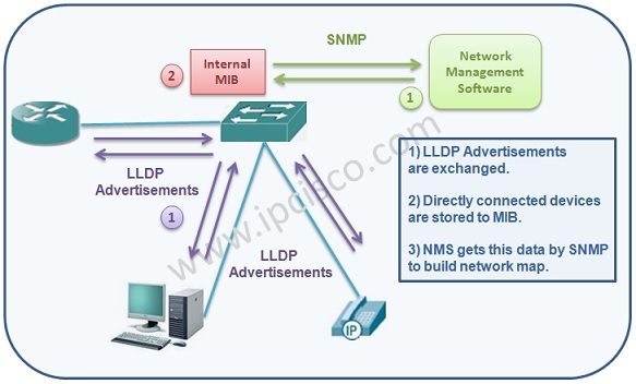 How LLDP Works, LLDP Mechanism