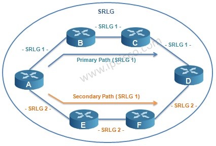 traffic engineering srlg ipcisco