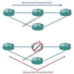 mpls-protected-path-and-backup-path