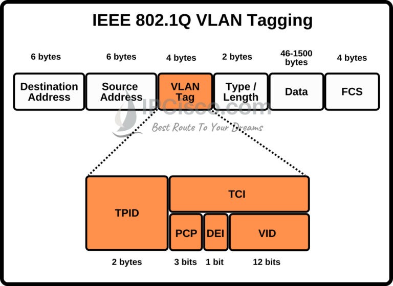 DTP and VLAN Frame Tagging protocols ISL, dot1.q ⋆ IpCisco