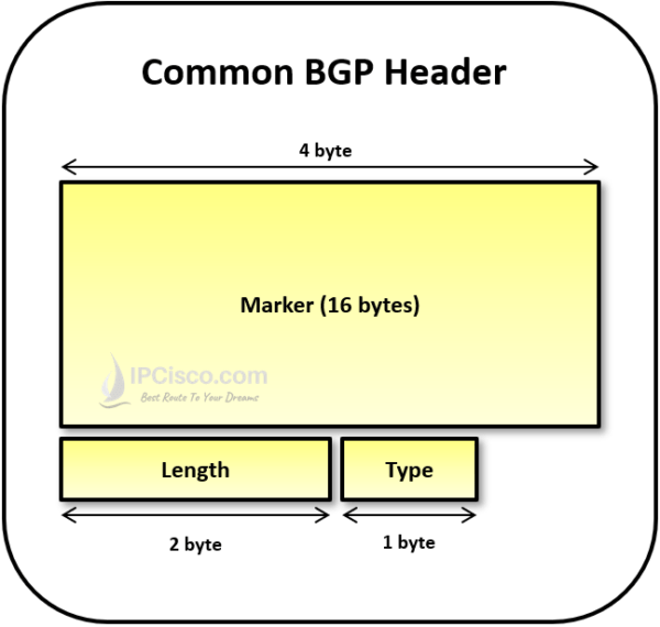 BGP Peers, BGP Sessions, BGP Messages ⋆ IpCisco