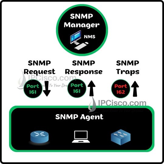 snmp-ports-ipcisco.com
