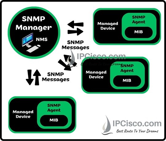 snmp-terms-ipcisco.com