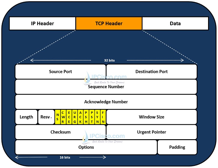 tcp-header, the details of a TCP Header, Transmission control protocol header bits, header fields, TCP flags