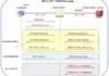 802.1x-EAP-RADIUS-Messaging