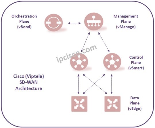 cisco-viptela-sd-wan.ipcisco.com