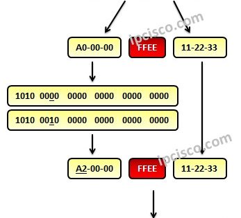 IPv6 Link Local Address | IPv6 Address Types ⋆ https://ipcisco.com