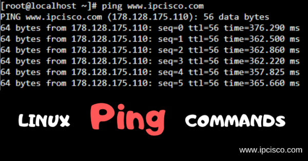 Linux ping запретить фрагментацию пакетов