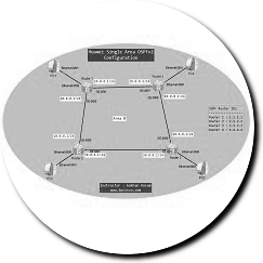 ospfv2-huawei-ensp2