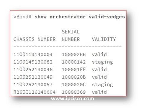 show-orchestrator-valid-vedges-cisco-sd-wan