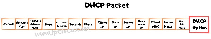 dhcp-packet-dhcp-option, DHCP Packet Fields, DHCP Option Field