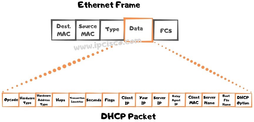 Wwan dhcp или ethernet dhcp что выбрать