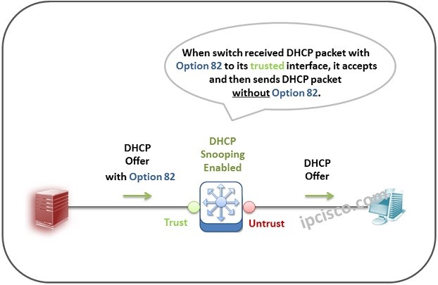 option-82-dhcp, How DHCP Option 82 is Added to the DHCP Offer Packet