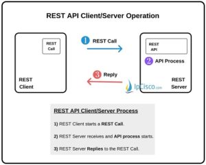 REST APIs | REST API Request | HTML Verbs | HTML Codes ⋆