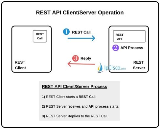 REST APIs | REST API Request | HTML Verbs | HTML Status Codes ⋆