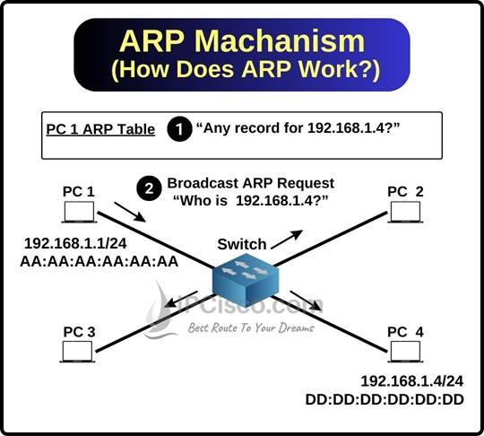 how-does-arp-work-arp-mechanism-ipcisco-2