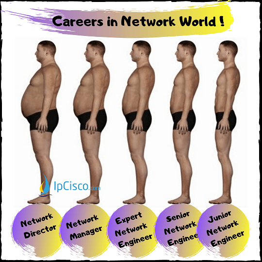 careers-in-network-world-ipcisco.com-k