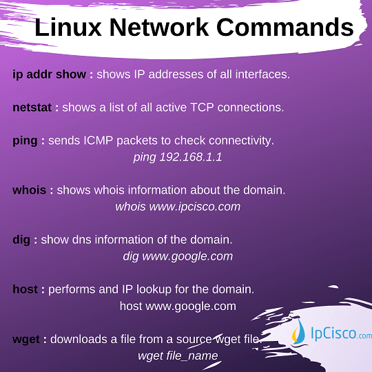 How to use the Whois command on Linux to see domain information on