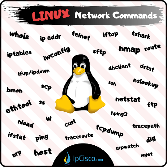 whois Command in Linux Explained