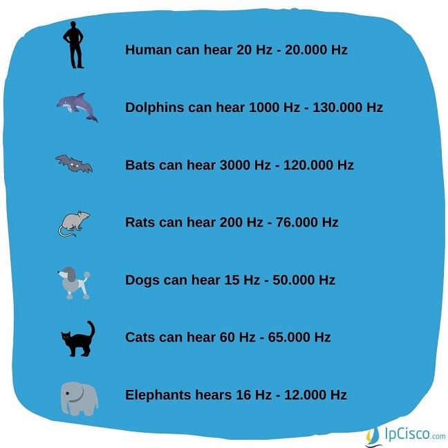 hearable-frequency-bands