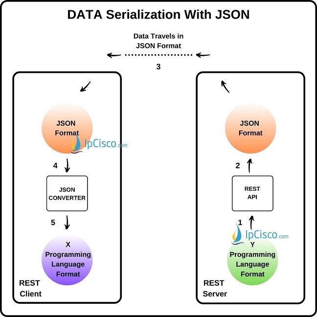 data-serialization-languages-and-json