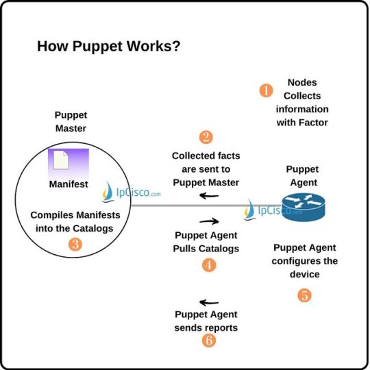 Puppet Software Network Automation Tool How Puppet Works ⋆ IpCisco