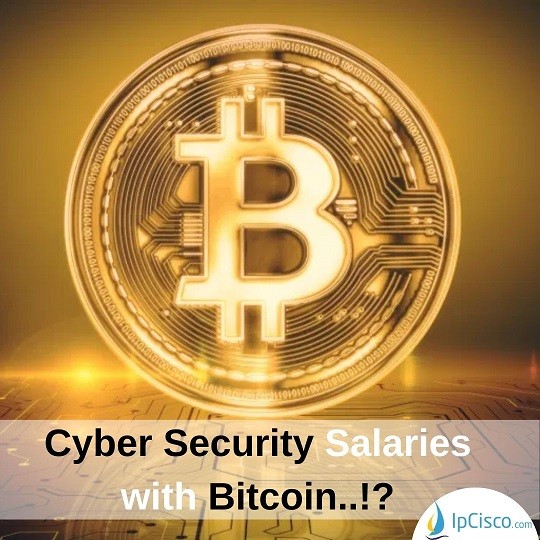 cyber-security-salaries-bitcoin-ipcisco.com