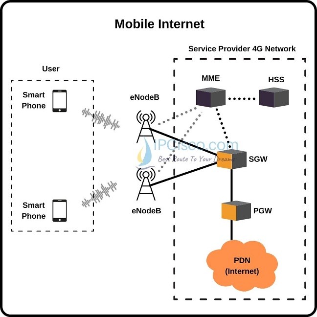 Provider access