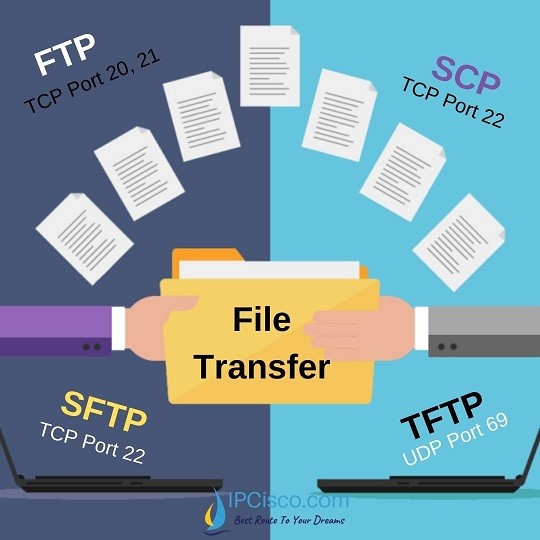 Чем отличается ftp от ip телефона