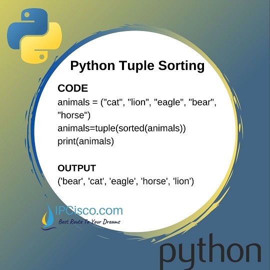 how-to-sort-python-tuples-ipcisco-1