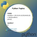 Python Tuples | How to use Tuples in Python? | Tuple Examples ⋆ IpCisco