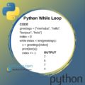 Python While Loop | How to Use While Loops?| Continue | Break ⋆ IpCisco
