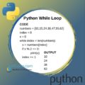 Python While Loop | How to Use While Loops?| Continue | Break ⋆ IpCisco