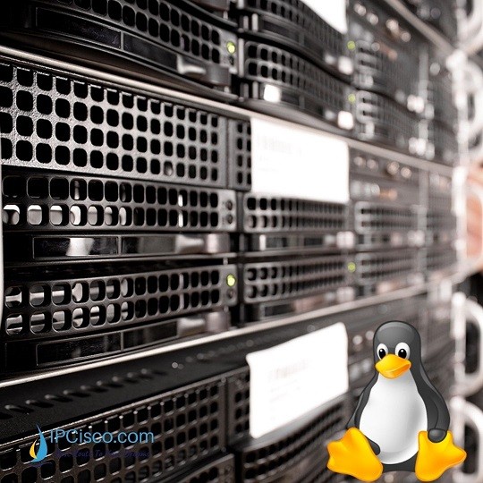 why-I-should-learn-linux-ipcisco