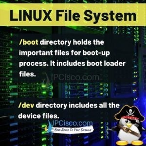 What Is Linux File System? | 17 Different Linux File Directory! ⋆ IpCisco