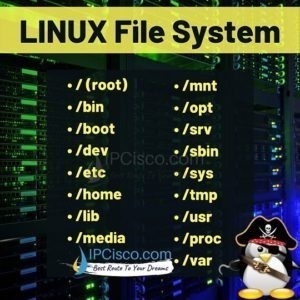 What is Linux File System? | 17 Different Linux File Directory! ⋆ IpCisco