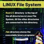 What is Linux File System? | 17 Different Linux File Directory! ⋆ IpCisco