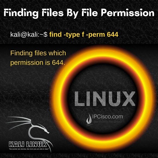 finding-files-by-permission-in-kali-linux