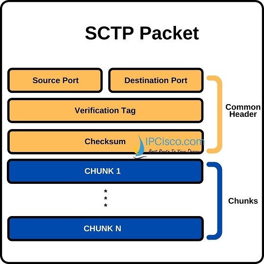 SCTP-packet-ipcisco
