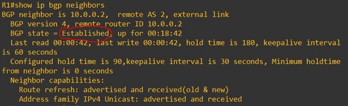 ebgp-configuration-show-ip-bgp-brief