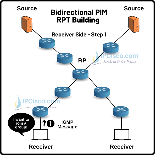 bidiectional-pim-rpt-building-receiver-side-1