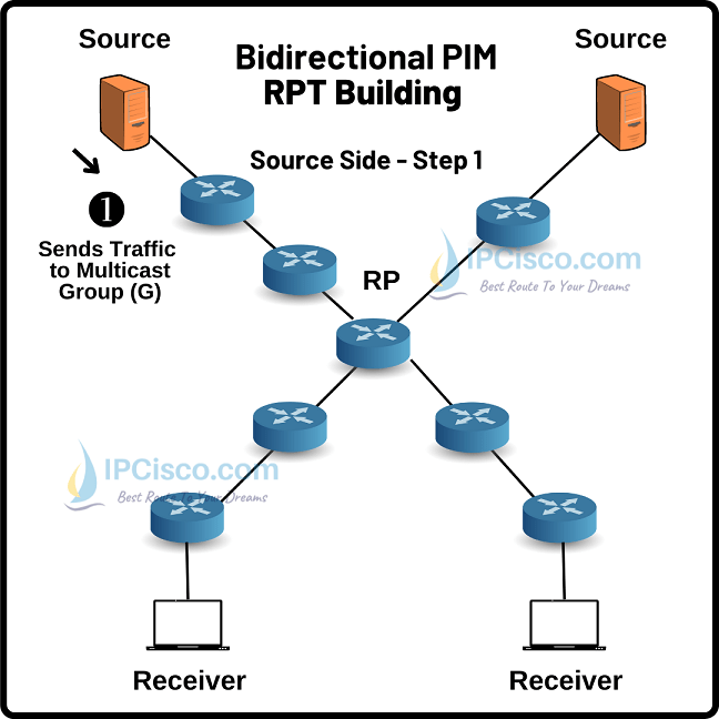bidiectional-pim-rpt-building-source-side-1