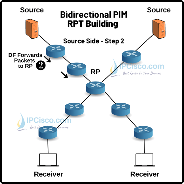 bidiectional-pim-rpt-building-source-side-2
