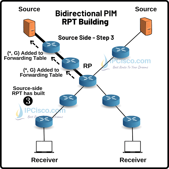 bidiectional-pim-rpt-building-source-side-2